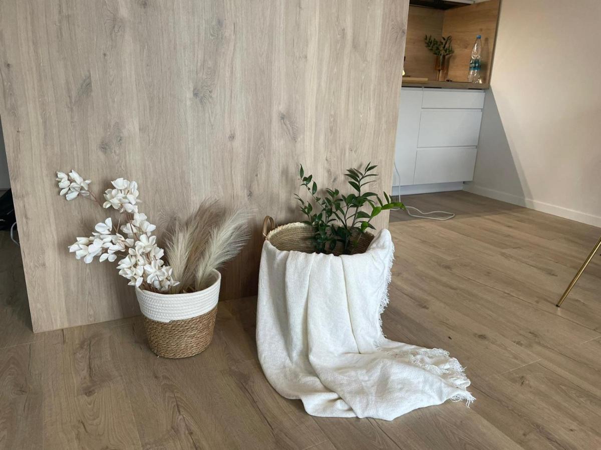 Apartament Kameralis Old Town - Klimatyzacja - Balkon - Winda 埃尔布隆格 外观 照片
