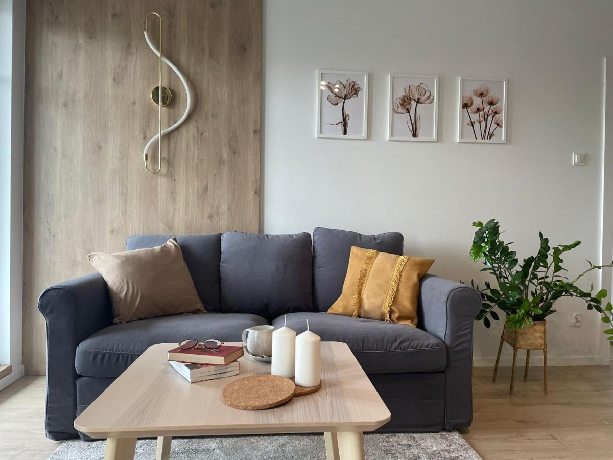 Apartament Kameralis Old Town - Klimatyzacja - Balkon - Winda 埃尔布隆格 外观 照片