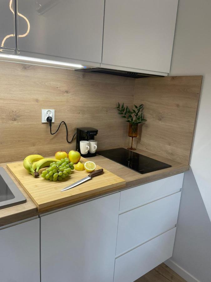 Apartament Kameralis Old Town - Klimatyzacja - Balkon - Winda 埃尔布隆格 外观 照片