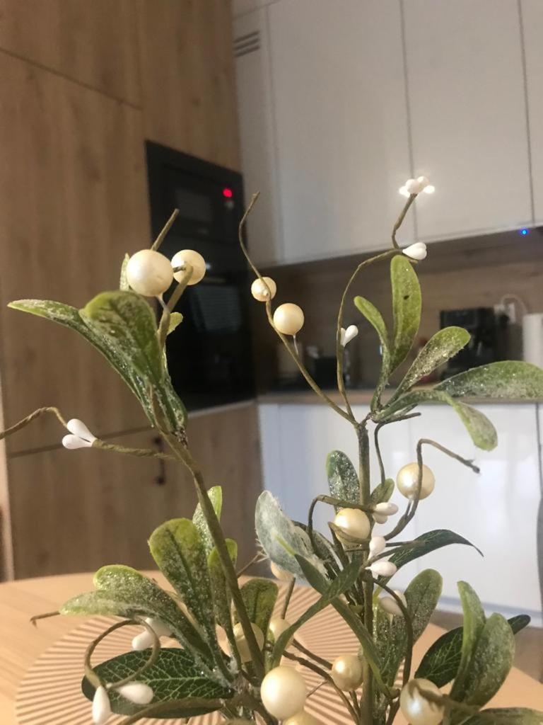 Apartament Kameralis Old Town - Klimatyzacja - Balkon - Winda 埃尔布隆格 外观 照片